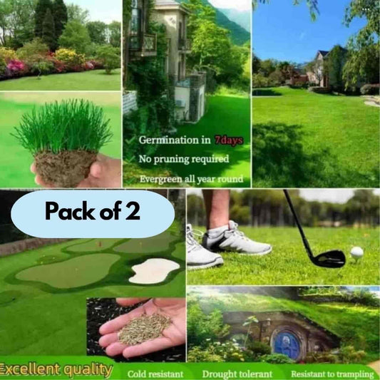 Transform Your Garden with Fast-Acting Herbicide Granules – Pack of 2